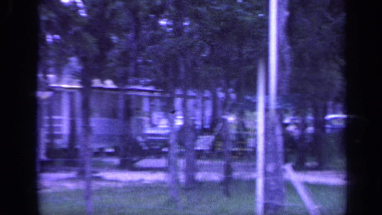 Tree-lined park entrance with parked cars and a vertical pole near the path.