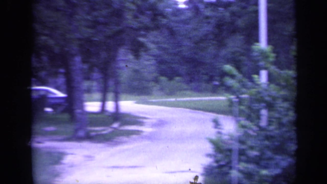 Curving park road bordered by trees with a parked car in the background.