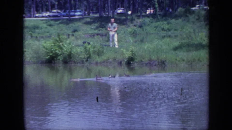1968 Florida home-movie frame showing a man on a grassy pond bank while ducks swim across the water in the foreground.