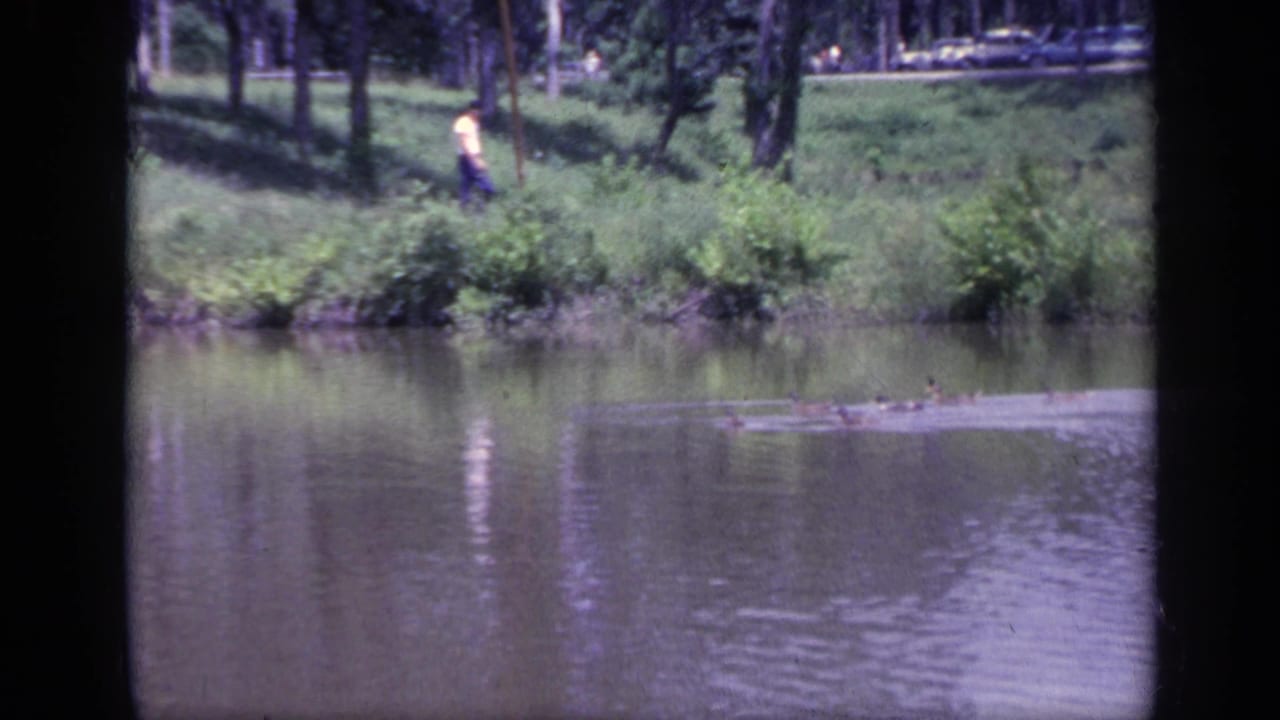 Man in a yellow shirt walking on a grassy riverbank as ducks swim across the water.