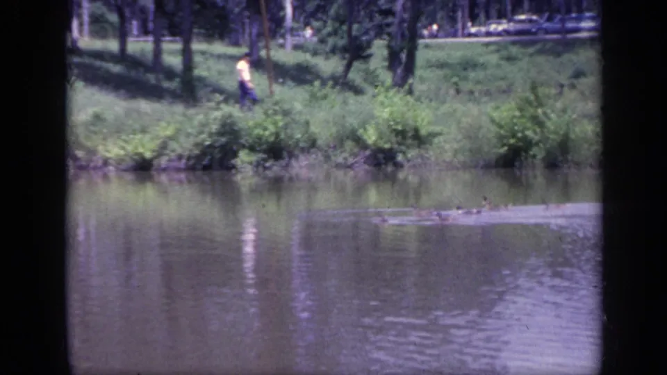 1968 Florida 8mm frame showing a man walking along a grassy riverbank while ducks cross the calm water in front of him.