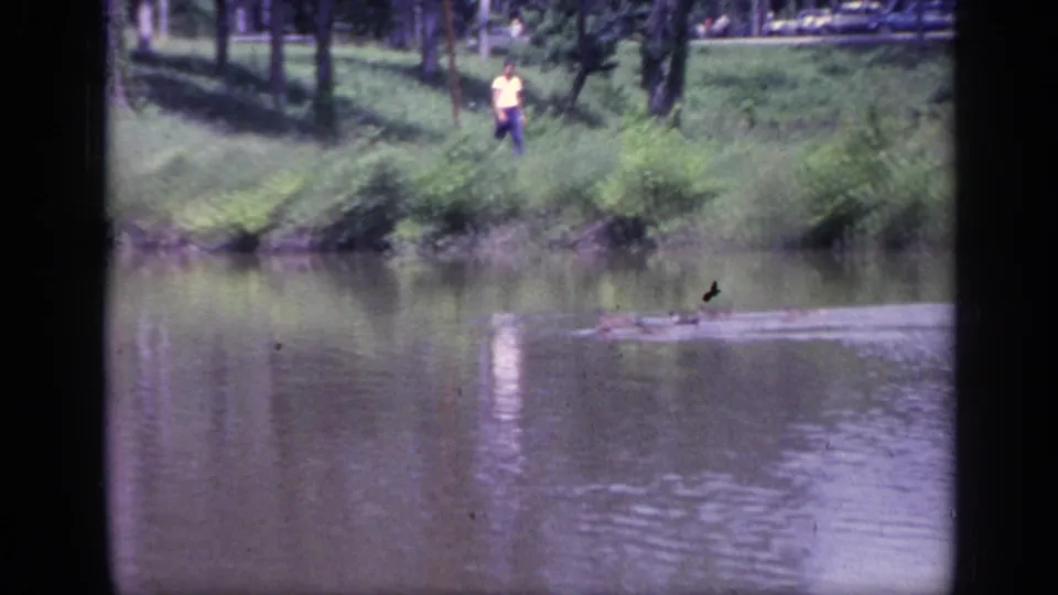 1968 Florida home-movie frame with ducks moving across the river and a distant man in yellow walking behind the shoreline vegetation.