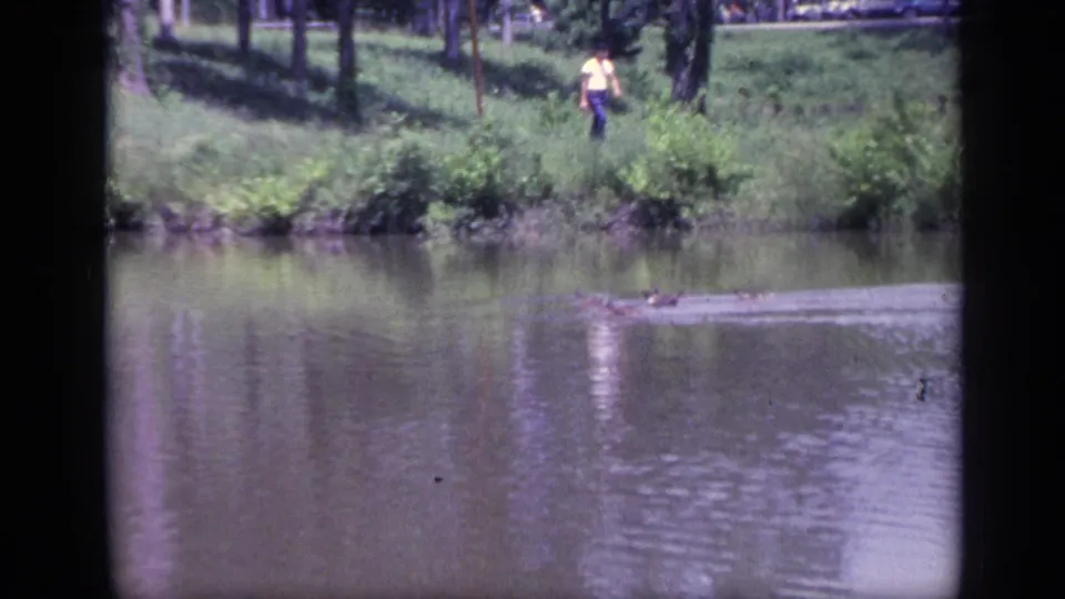 1968 Florida 8mm frame showing ducks on the river foreground and a distant adult man walking beside thick shoreline grass.