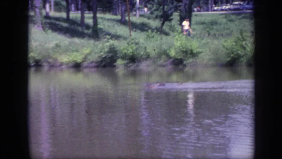 1968 Florida home-movie frame with ducks near the far bank, a man in a yellow shirt, trees, grass, and faint parked cars beyond.