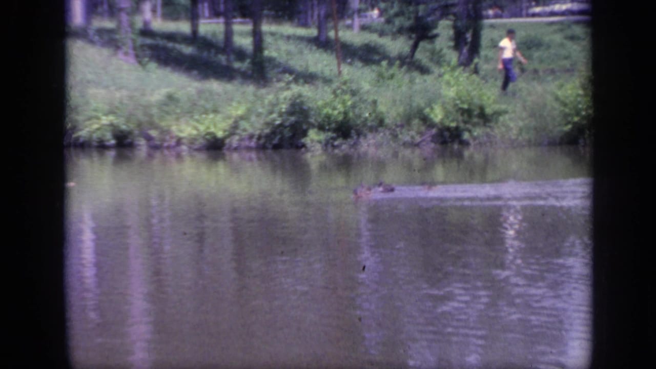 Pond with grassy bank, distant person in yellow shirt, and a low reptile shape moving through the water.