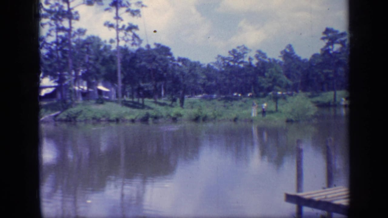 Riverbank with tall trees, distant people, shoreline buildings, and part of a wooden pier at right.