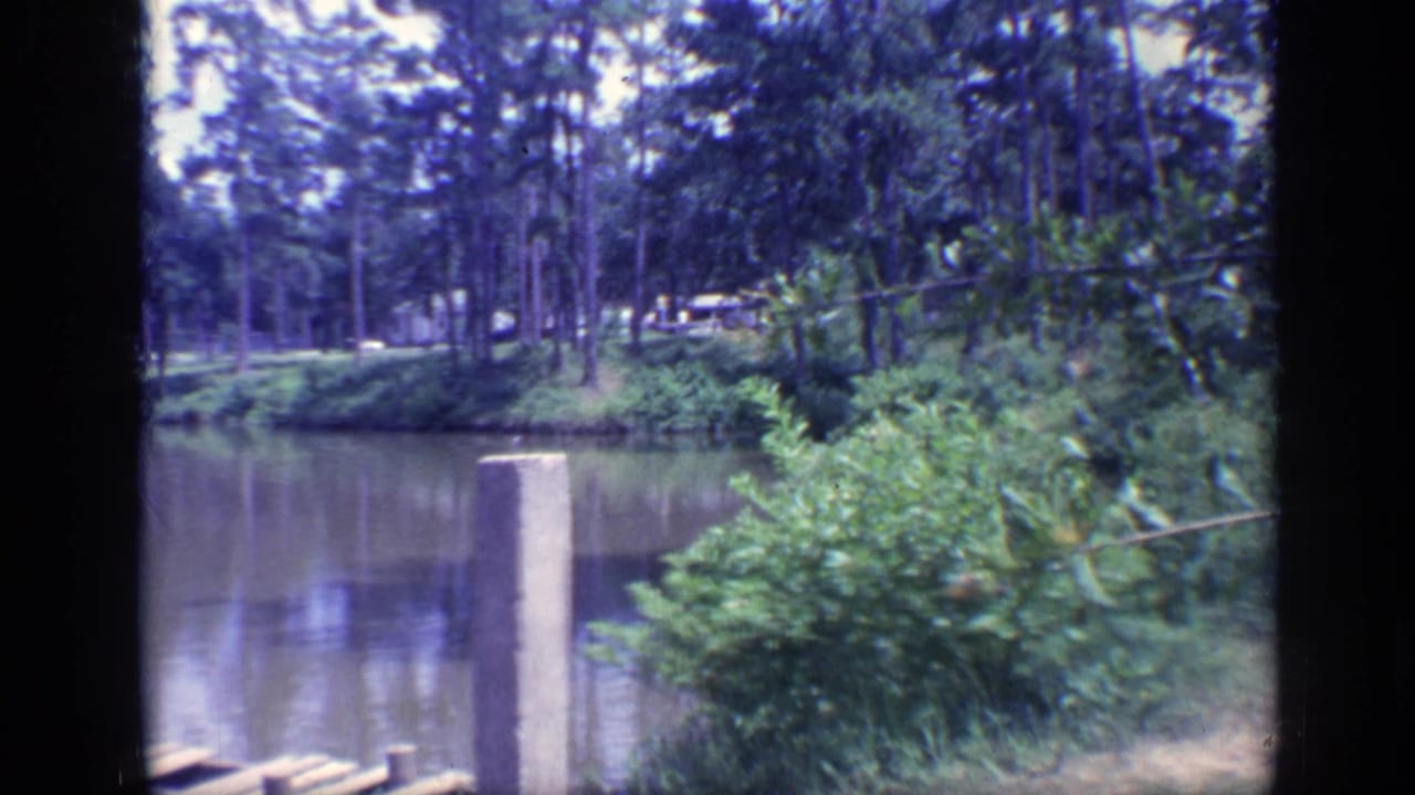 Lake and wooded shoreline seen past a concrete post and brush.
