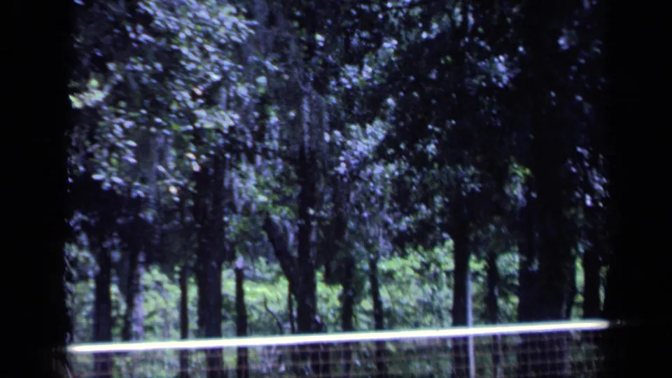 1968 Florida 8mm frame focused on a badminton net crossing a grassy clearing with dense trees in the background.