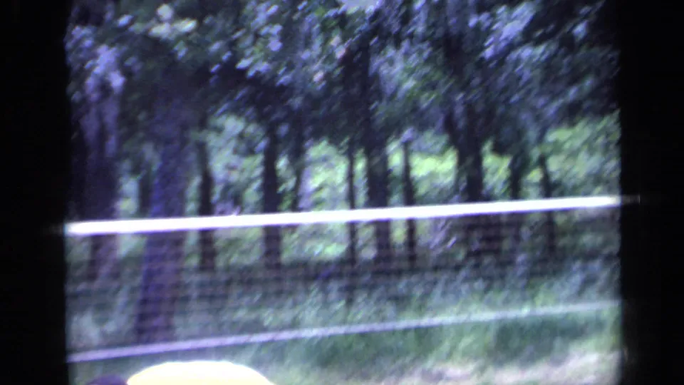 1968 Florida home-movie frame with motion blur, showing part of the player's hat below a badminton net in a wooded clearing.