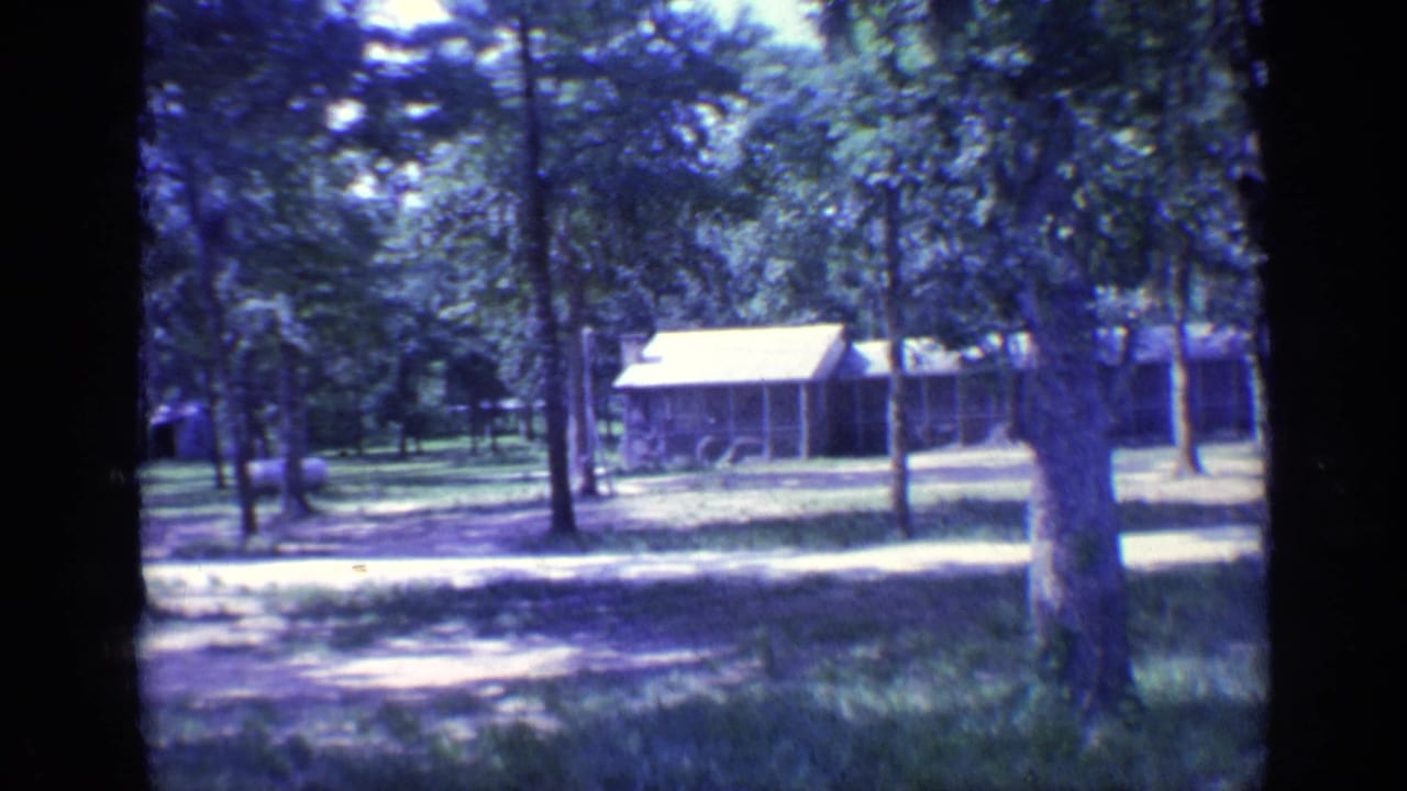 1968 Florida 8mm frame showing rustic campground cabins beyond trees, grass, and a dirt path.