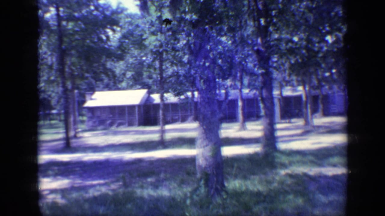 1968 Florida home-movie frame of campground cabins behind trees, with sunlit grass and a dirt track.