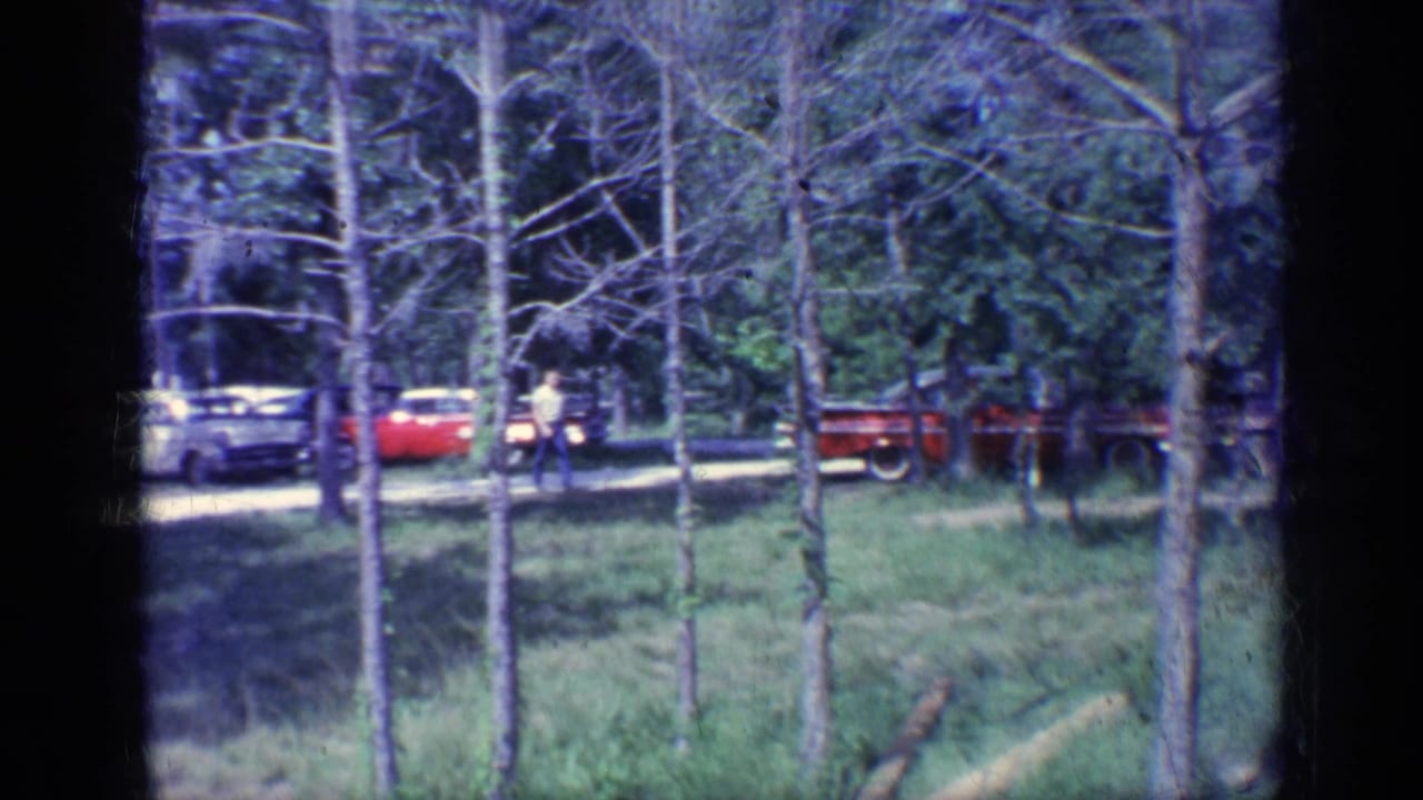 Red cars parked behind slender trees with a person walking nearby.