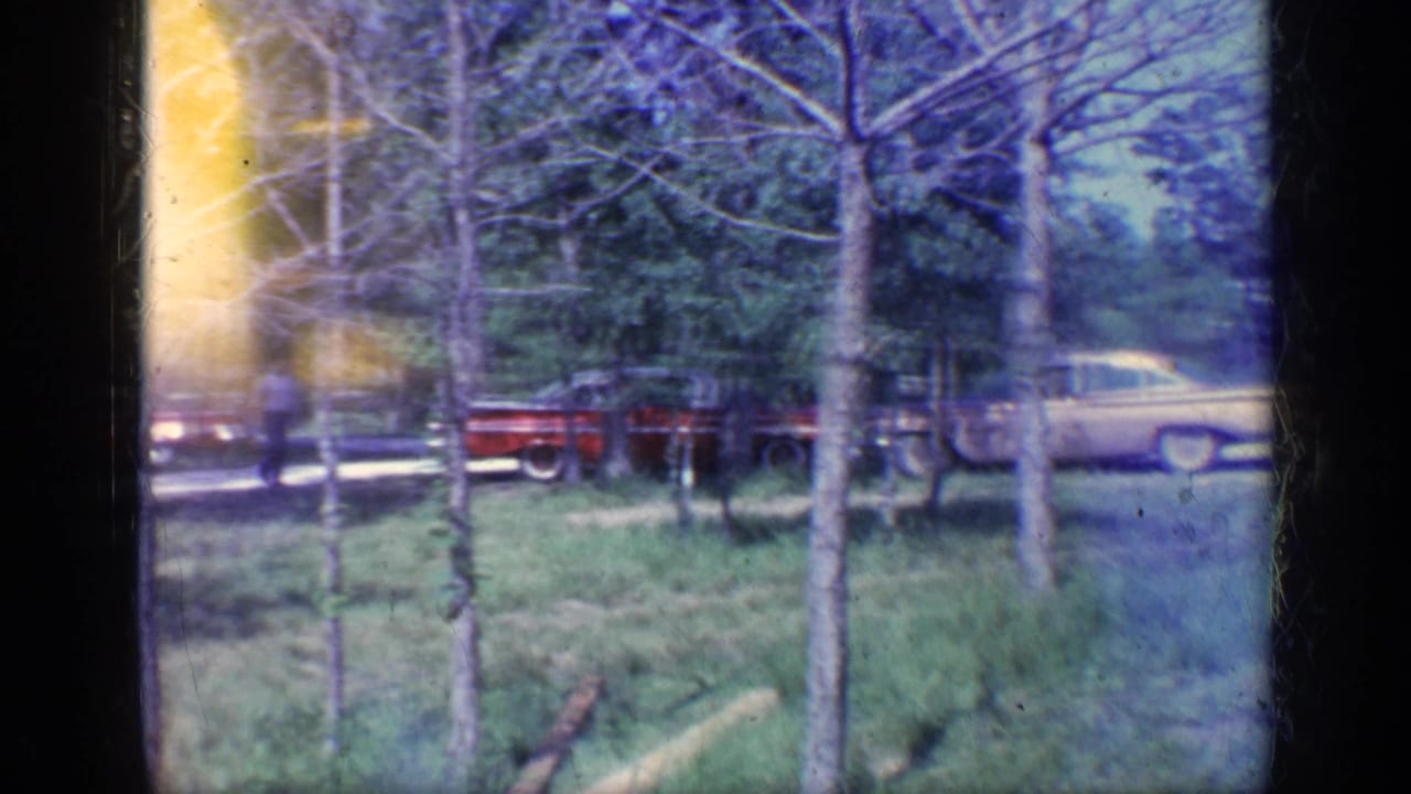 Red car and pale car seen through trees beside a road.