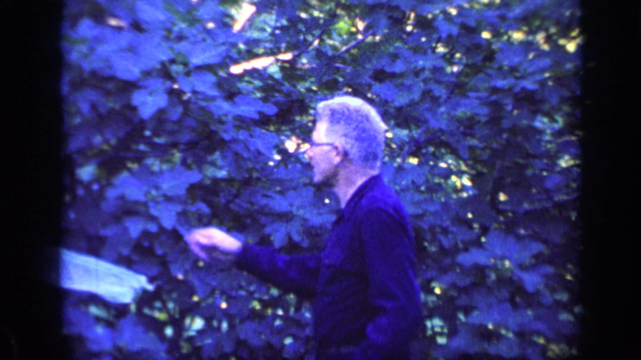 Man in glasses reaches one hand toward leaves in the woods.