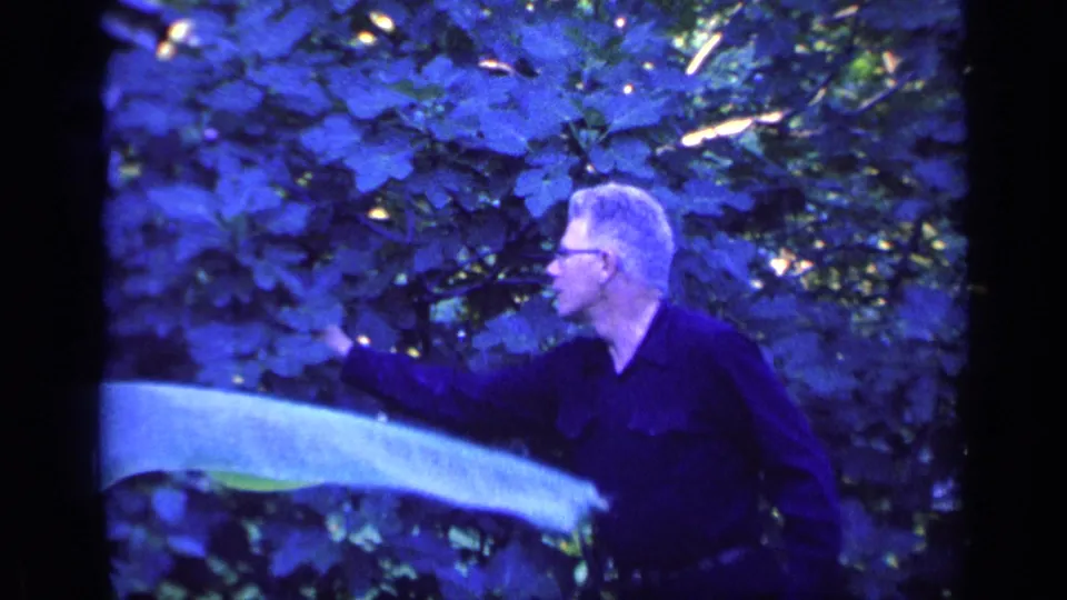 A gray-haired man in glasses leans toward a large pale leaf, examining foliage in 1968 Florida home-movie footage.