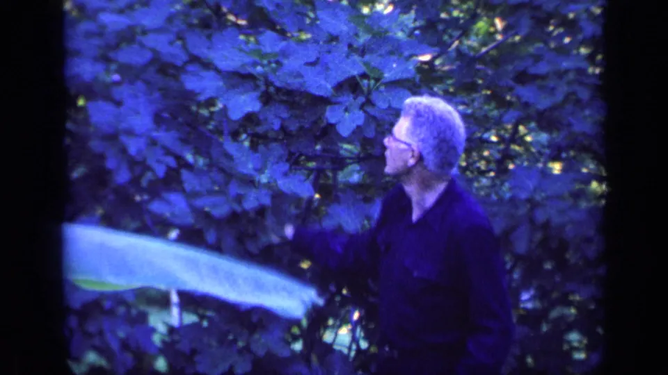 The man looks upward beside a large pale leaf in a shaded Florida wooded setting, captured with blue-tinted 8mm texture.