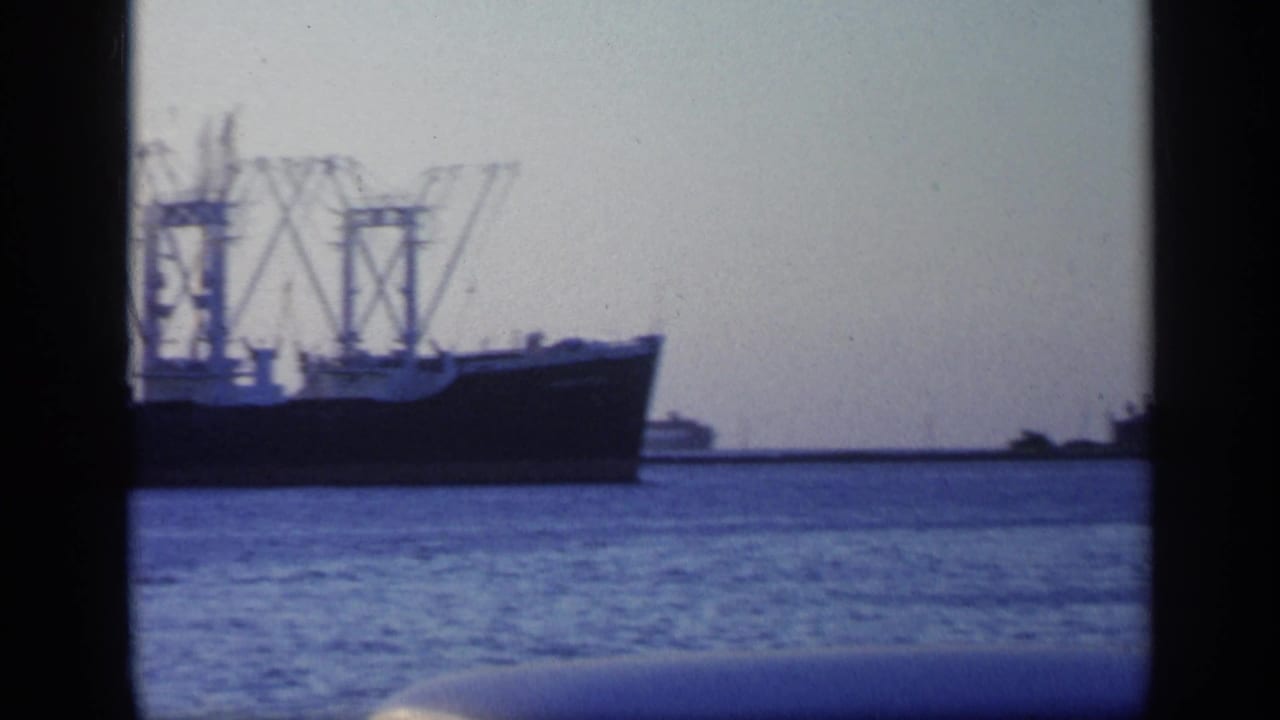 Cargo ship and dock cranes seen across water from a boat.