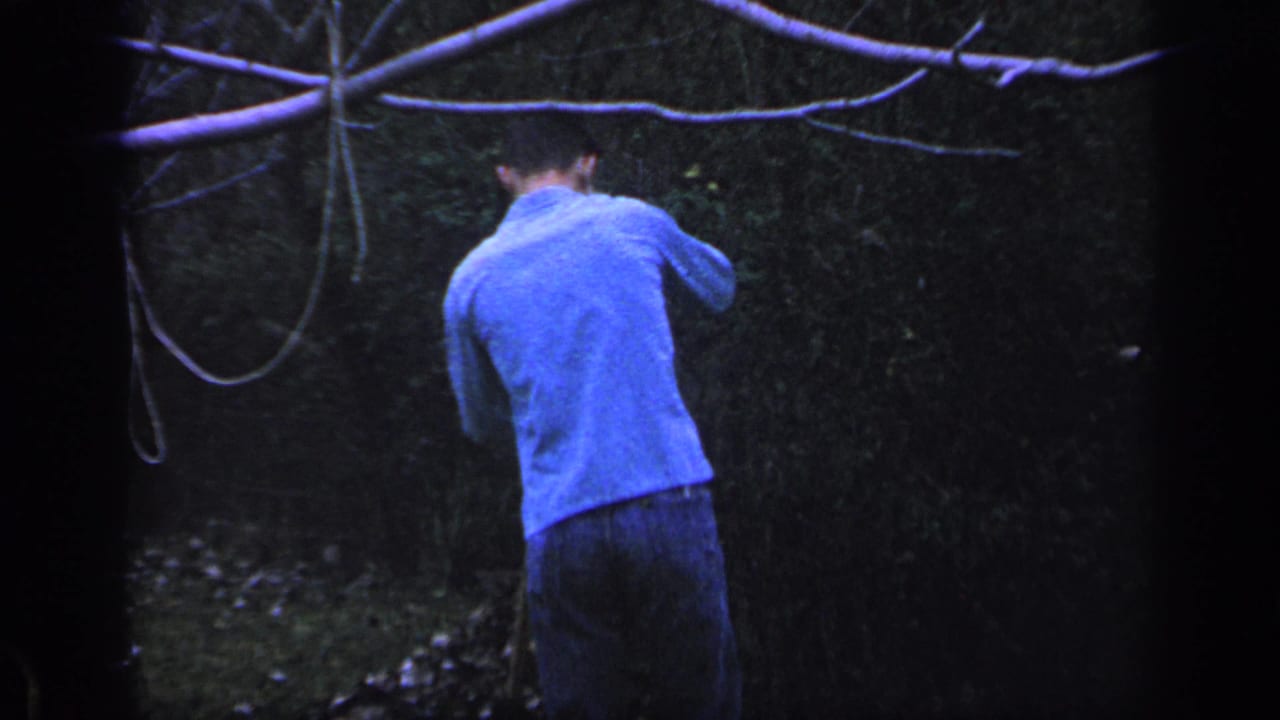 Man in a blue shirt seen from behind in a wooded yard beneath branches and a hanging rope.