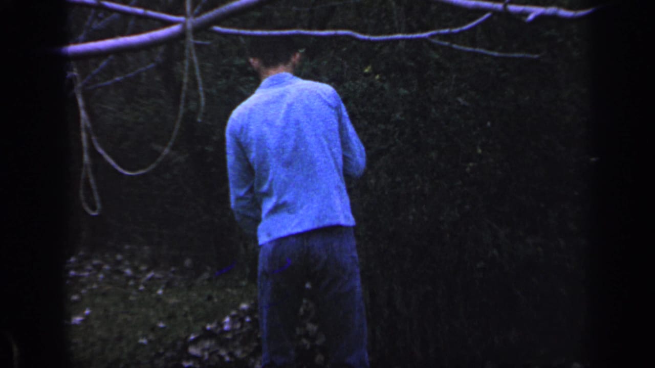 Man in blue stands near a rake in a dark leafy yard with branches overhead.