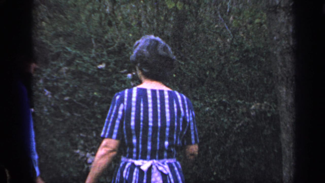 Woman seen from behind in striped dress walking beside foliage.