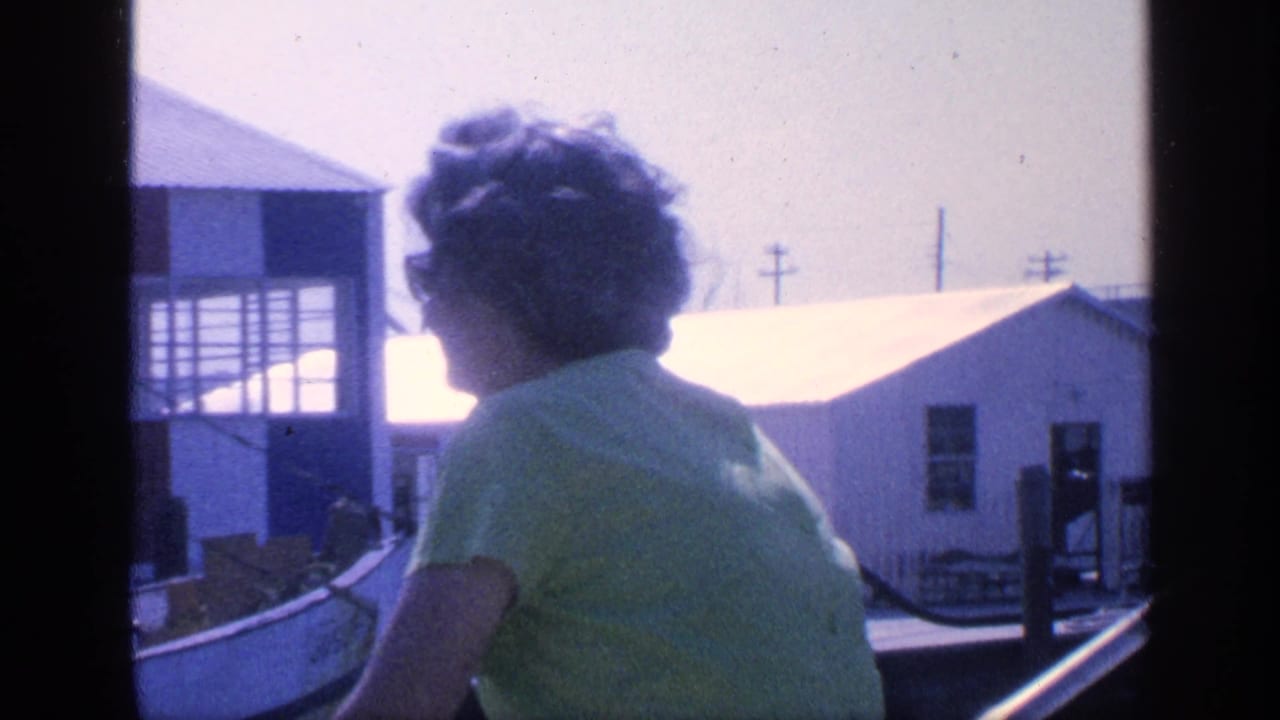 A woman in a green shirt faces away on a boat as the camera passes low waterfront buildings in the supplied Florida footage.