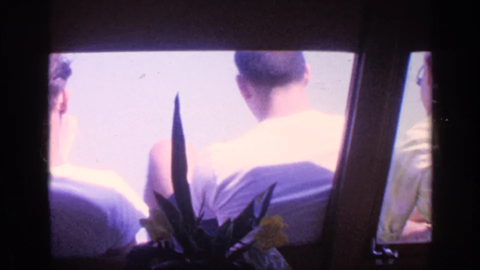 1968 Florida home-movie frame with males seen from behind near bright windows, framed by dark mullions and indoor plant leaves.