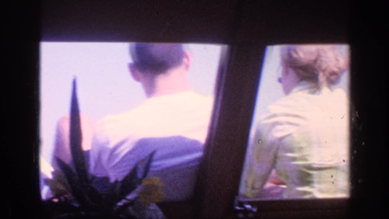 Passengers seen from behind through dark window framing, with a plant silhouette in the foreground.