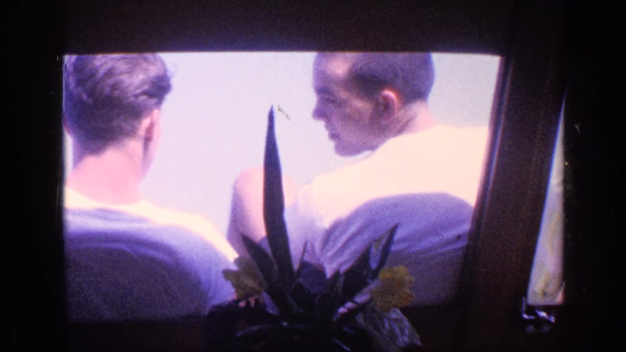 Two young men sit close together by a bright window with a potted plant in the foreground.