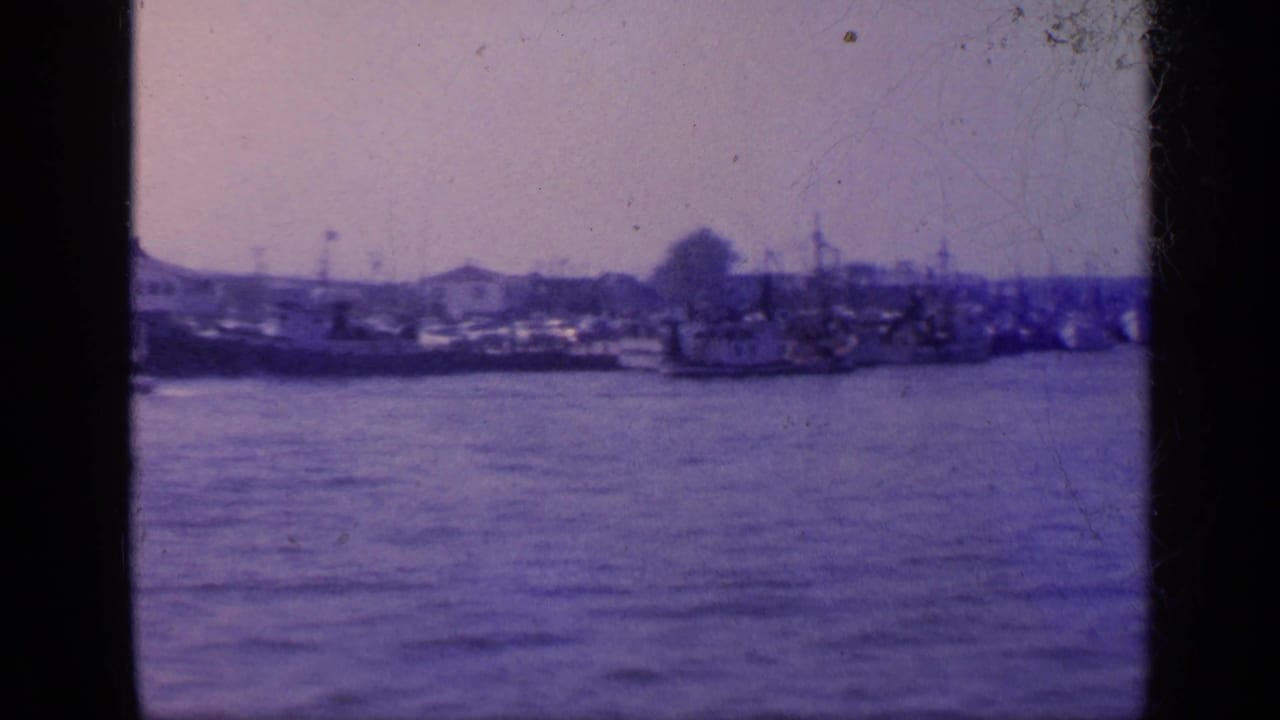 Fishing boats across calm harbor water with a hazy shoreline in the distance.