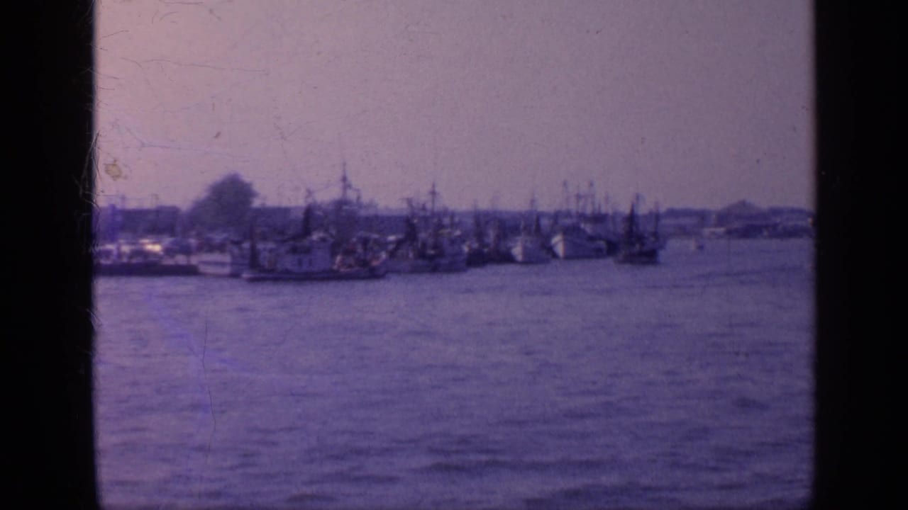 1968 Florida harbor view with clustered boats and masts seen across calm water in soft 8mm color.