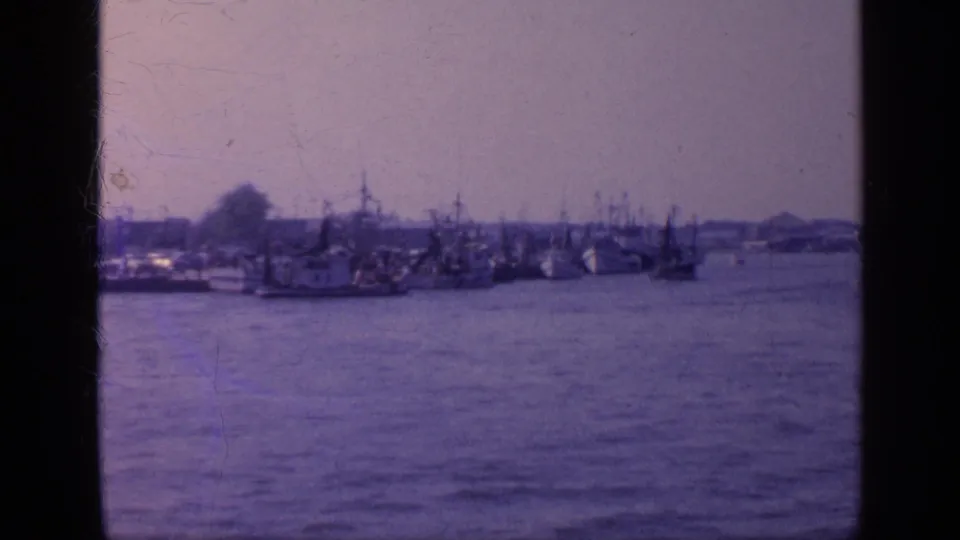 1968 Florida harbor view with clustered boats and masts seen across calm water in soft 8mm color.