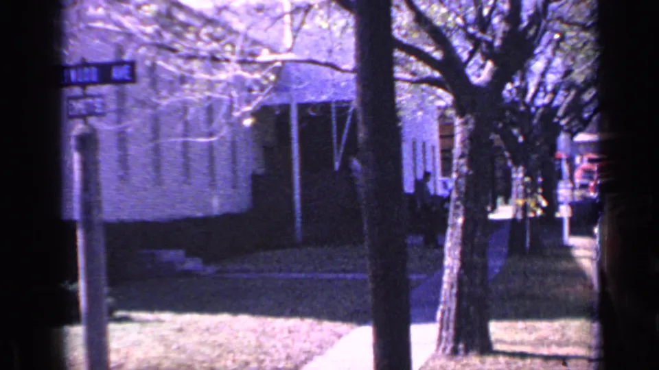 1968 Florida street view with a Hollywood Ave sign, bare tree branches, sidewalk, lawn, and a low building facade.