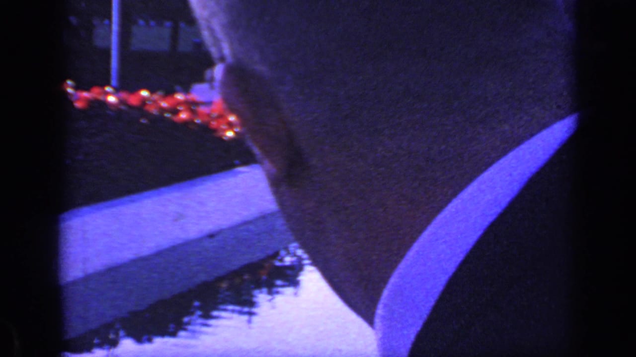 Back of a boy's head near a blue-lit fountain edge with red flowers beyond.
