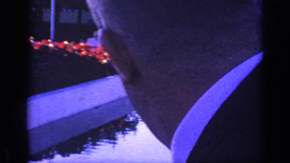 1968 Florida home-movie frame showing a boy from behind near dark water, a pale fountain edge, and red flowers under blue night lighting.