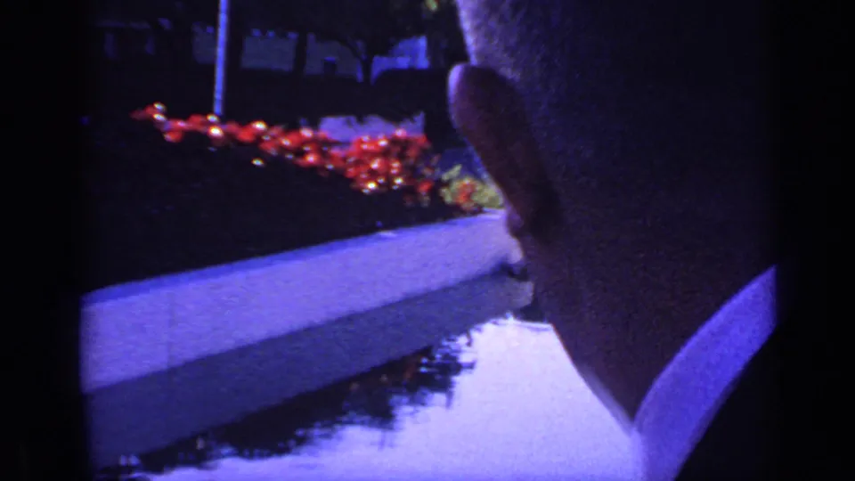 The boy remains near the fountain, seen from the back and side as red flowers and blue reflections frame the nighttime park setting.
