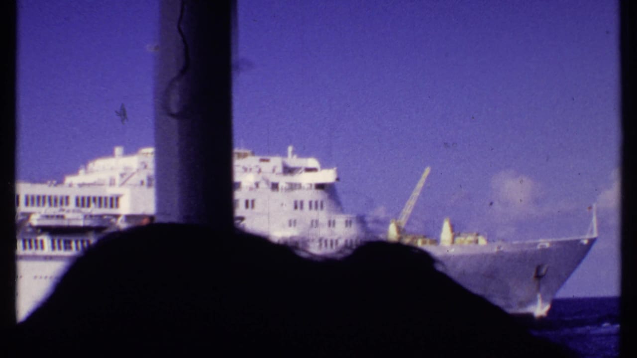 White cruise ship bow passing across blue water behind dark foreground silhouettes.