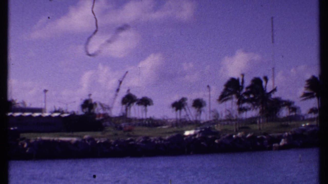 Waterfront shoreline with palm trees, rocks, cars, lamp posts, and clouds seen from a boat.