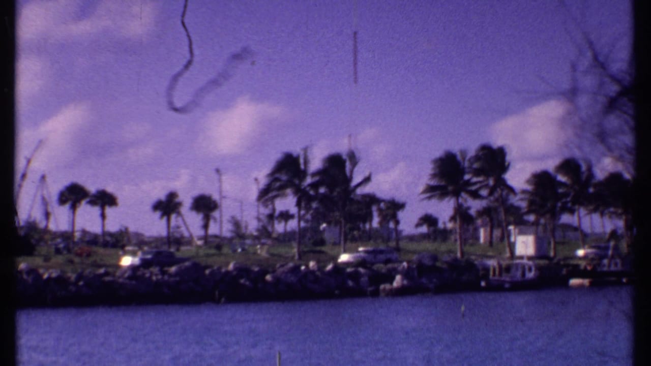 1969 Bahamas 8mm frame of a palm-lined waterfront road with cars, rocks, blue water, clouds, and a small boat near shore.