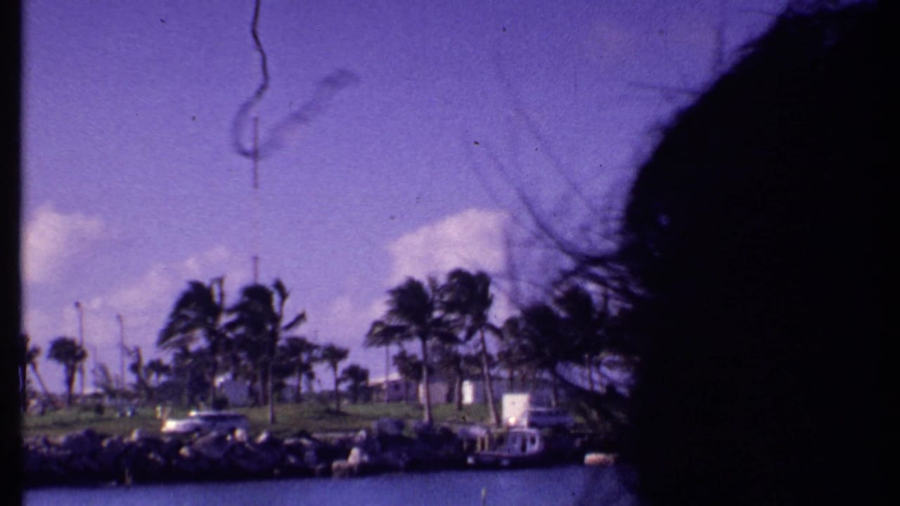 1969 Bahamas 8mm frame with a dark boat-edge silhouette framing palms, roadside cars, rocks, a small boat, and water.