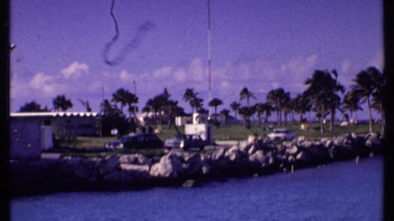 1969 Bahamas waterfront view with a rocky jetty, palms, low buildings, parked cars, and blue water in the foreground.