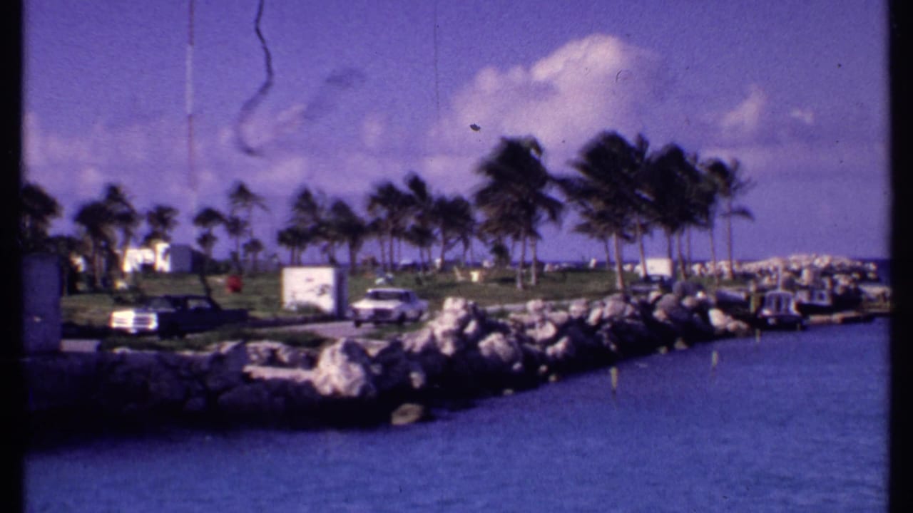 Bahamas waterfront view from 1969 with blue water, rocky jetty, palm trees, low buildings, parked cars, and a boat edge at right.