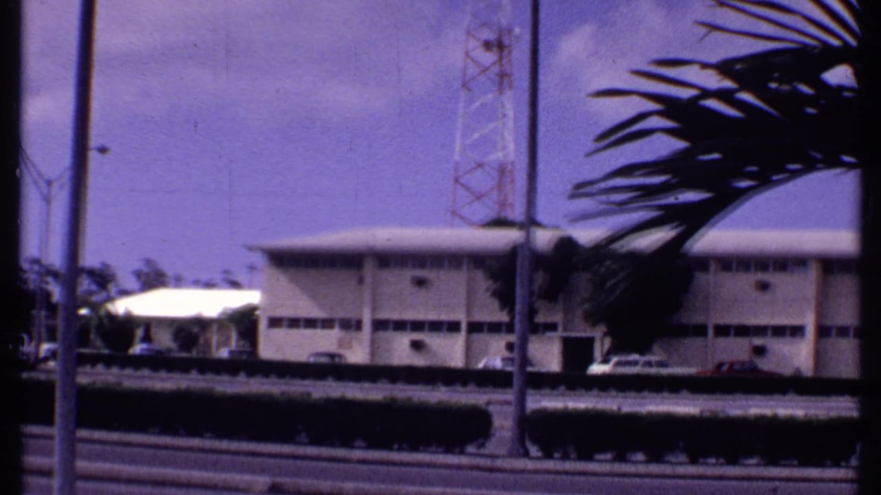 Palm fronds frame a low pale building beside a road with poles and a tower behind it.
