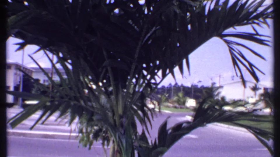 1969 Bahamas 8mm frame with palm fronds in the foreground, a quiet paved road, white buildings, lawns, and utility lines in the background.