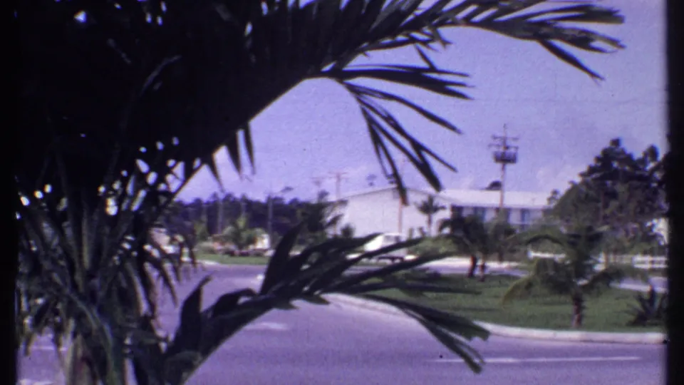 1969 Bahamas street view with foreground palm leaves, a curved road, manicured grass, white buildings, utility poles, and background trees.