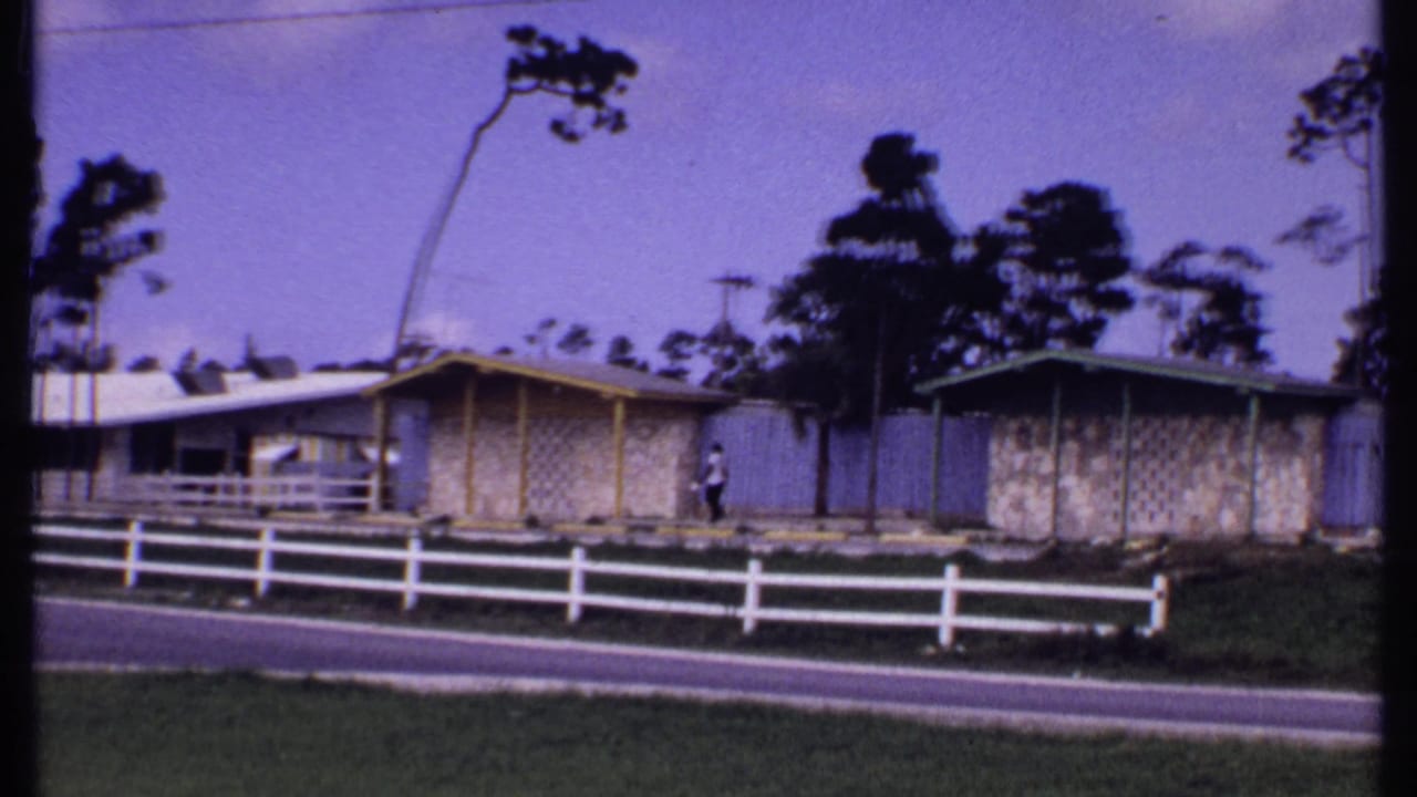 1969 Bahamas home-movie frame showing a paved road, white fence, modest low houses, tall trees, and a distant pedestrian.