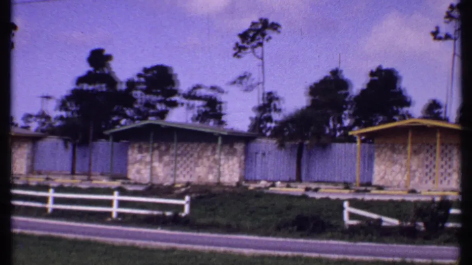 1969 Bahamas home-movie view of patterned low houses, a roadside fence, grass, palms or tall trees, and a purple-shifted sky.
