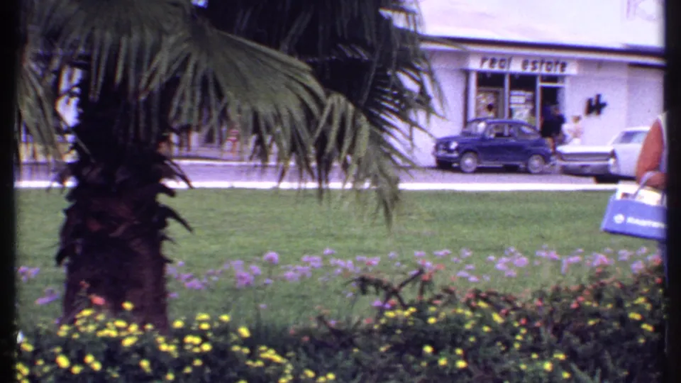 Palm fronds and trunks dominate a 1969 Bahamas shopping-center view with lawn, storefront signage, and 1960s cars in the background.