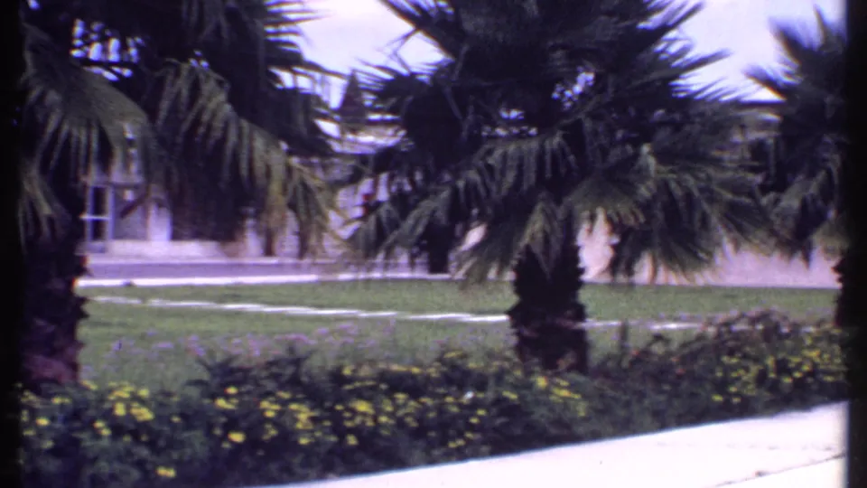 The final 1969 Bahamas frame centers on palm trees, flower beds, lawn, walkway edges, and a low building partly obscured by foliage.