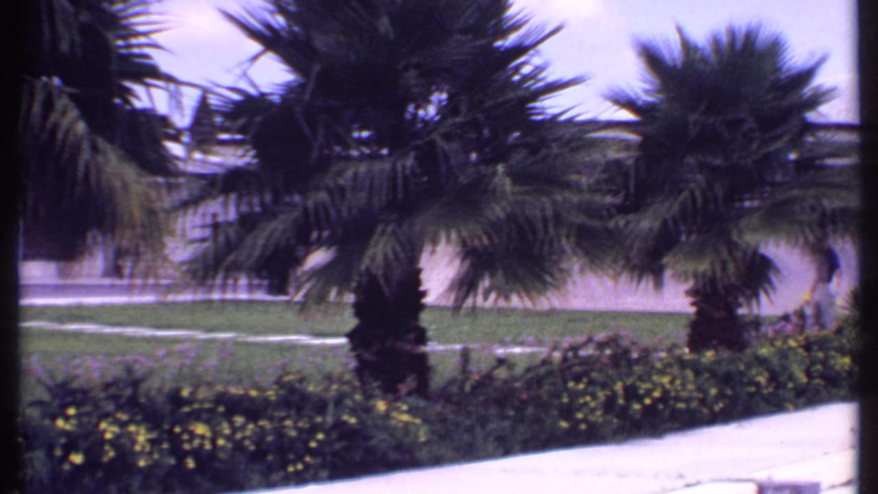 1969 Bahamas home-movie frame showing palms, flower beds, lawn, and part of a low commercial-looking building.