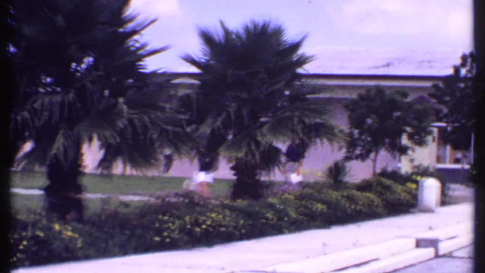 1969 Bahamas exterior view with palms, flower beds, steps, a walkway, and a glass-doored building entrance.